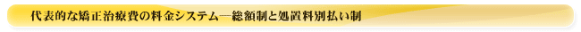 代表的な矯正治療費